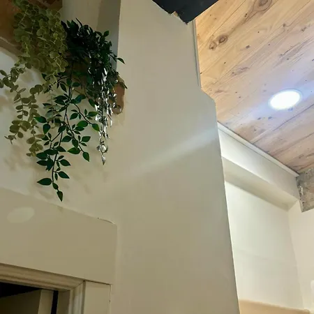 Estudio En El Centro De Apartamento *